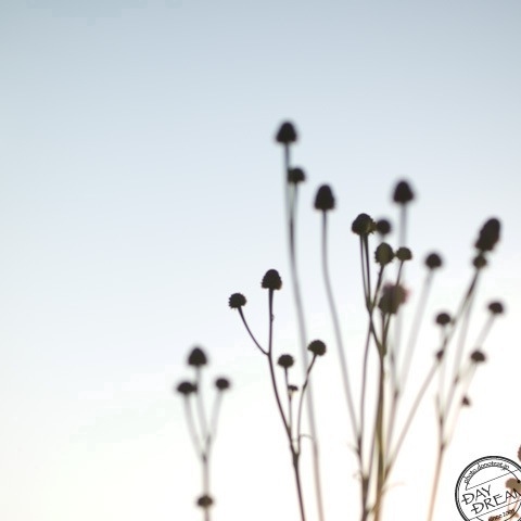 Sunrise in after the rain