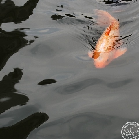 Changes when growing