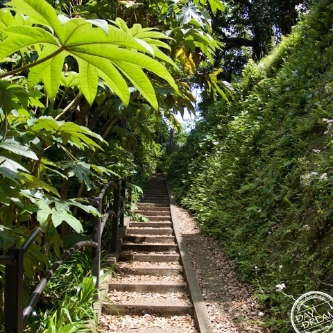 The first adventure of summer