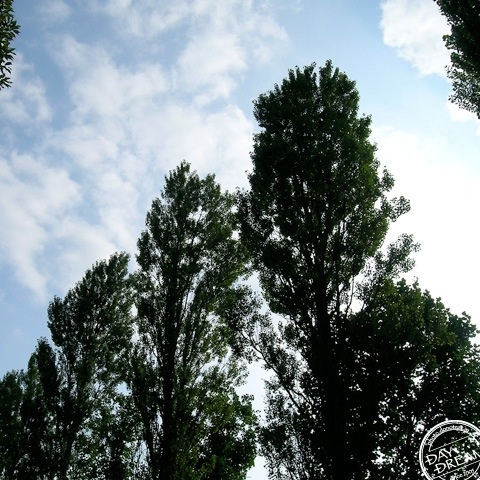 Roll up in gusting winds