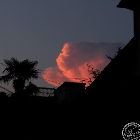 Tonight is a tropical night