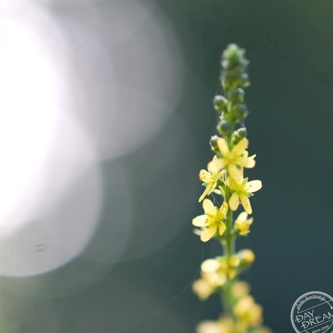 Keep someone in the dark