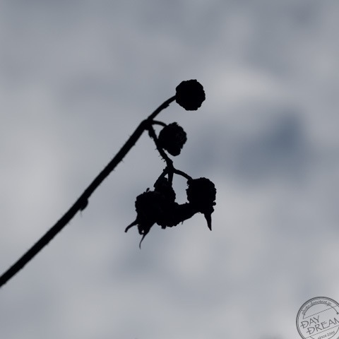 Autumnal rain autumnal rain