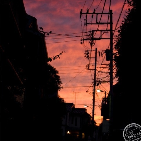 The memories at red sunset The memories at red sunset