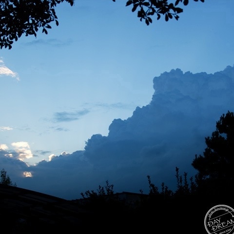 Runs, in the autumn morning