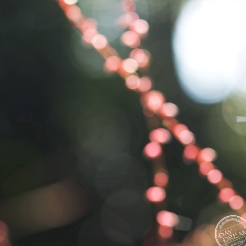 Tears can not dry up