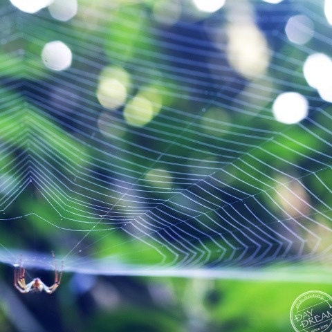 In the bottom of blue sleep