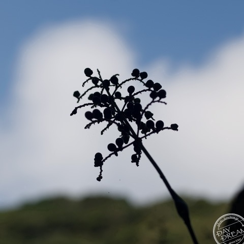 Lanterns on pole Lanterns on pole