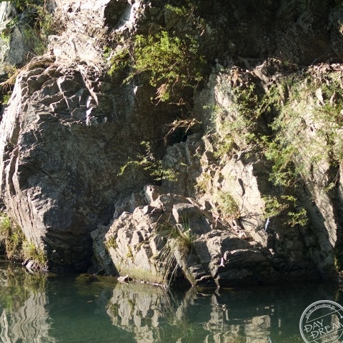 Shell drying in the sun