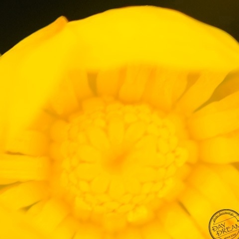 The cold rain over the town