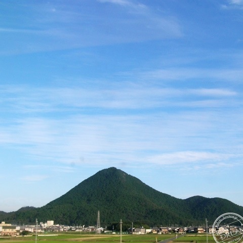 Coarsely chopped SOBA
