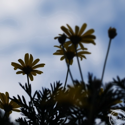 Going to rain tomorrow