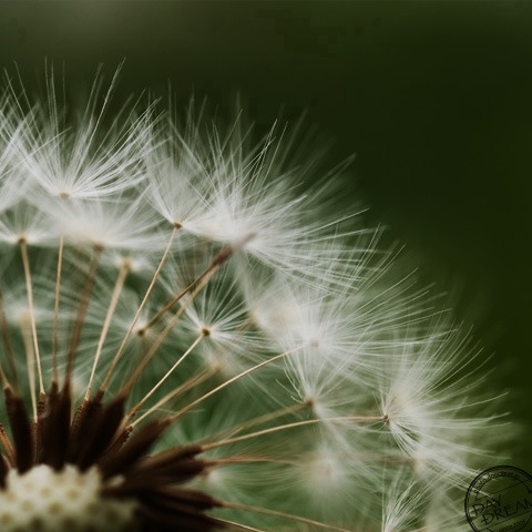 Over the sky in autumn