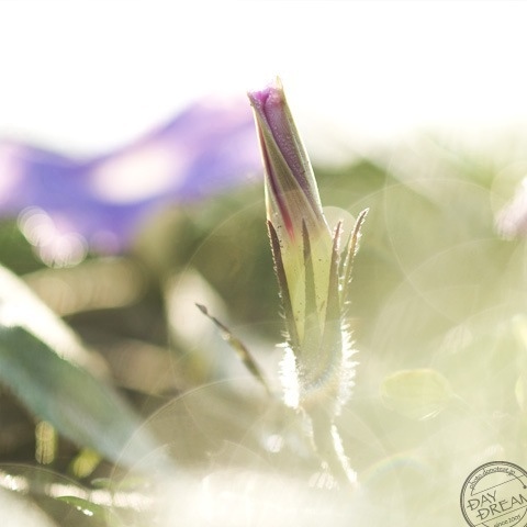 One morning in autumn