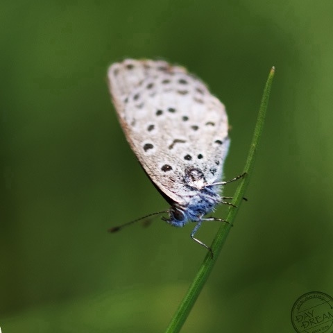 Tomorrow different from today