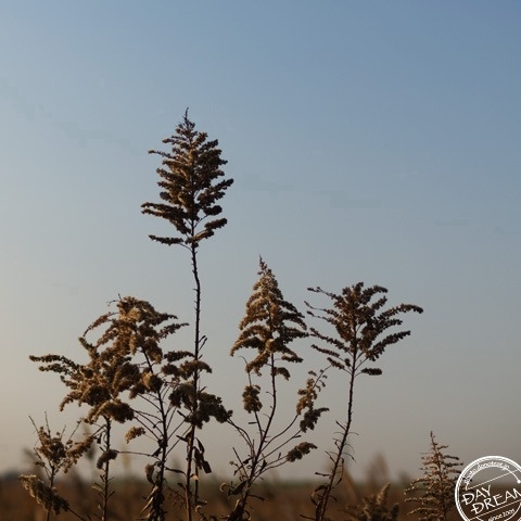 Earth motion sickness