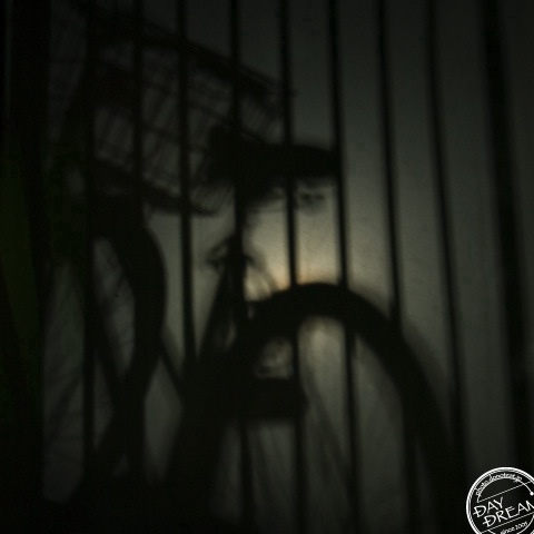 The last day of the year The last day of the year