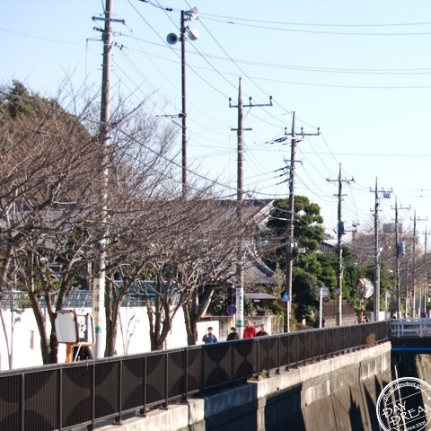 Memories and utility pole of winter