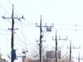 Memories and utility pole of winter