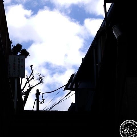 Non sugar chocolate drink