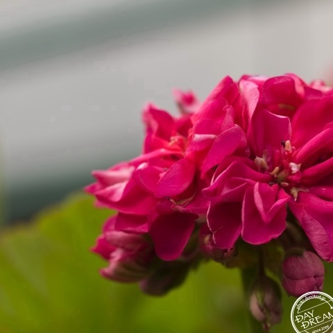 The wind is changing direction