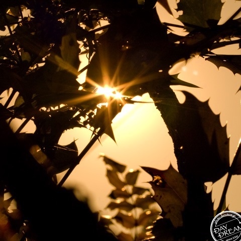 Spring come a little bit