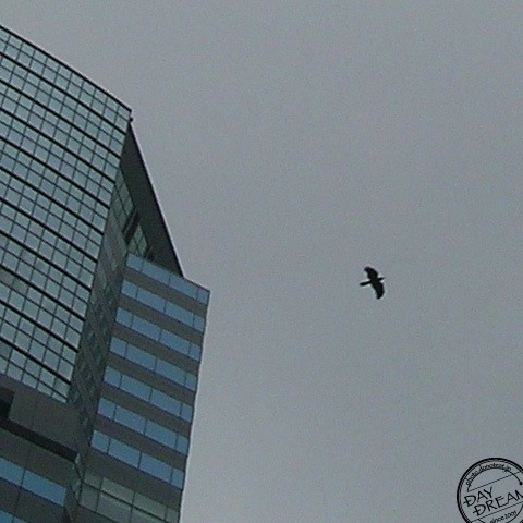 The umbrella is unnecessary