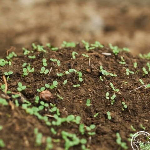 There is no place to step