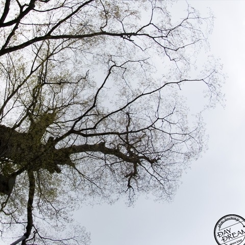 The wonder east wind blows