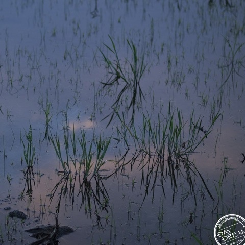 Audible whisper whisper