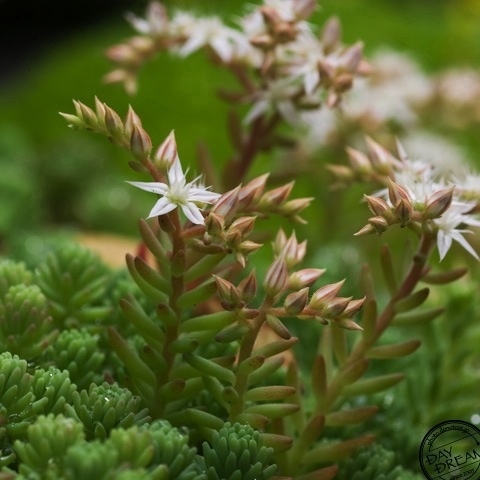 Accept whoever comes to...?