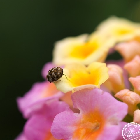 Are found? Are not found?