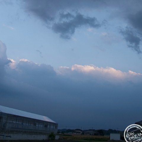 Black headwear and White shirt