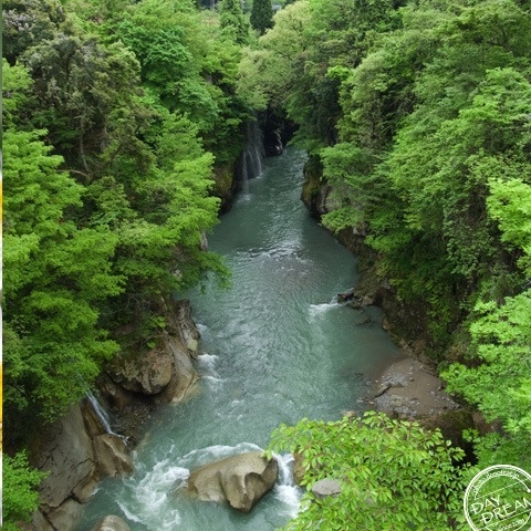 Log of mountain stream