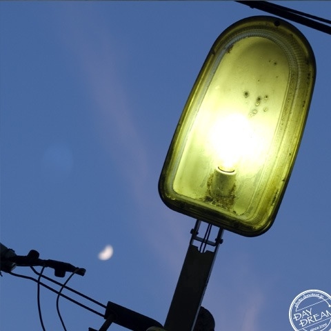 Like moths to go moon