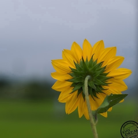 No, never let him watch