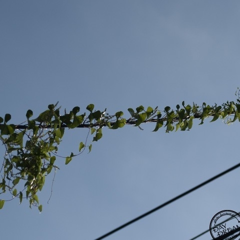 Rising rising rising