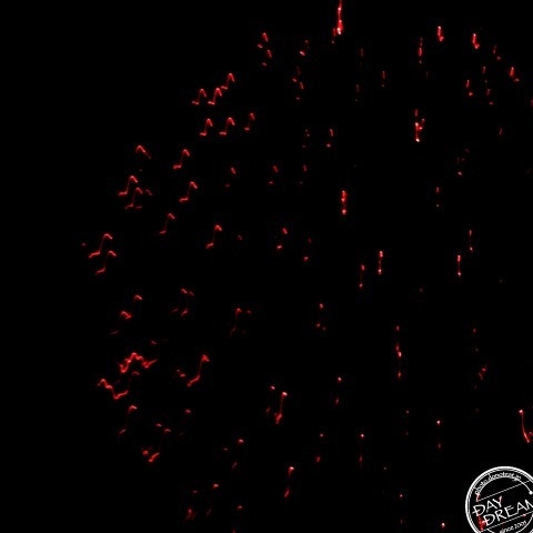 Gunpowder of fireworks