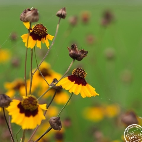 Enjoy! life and life