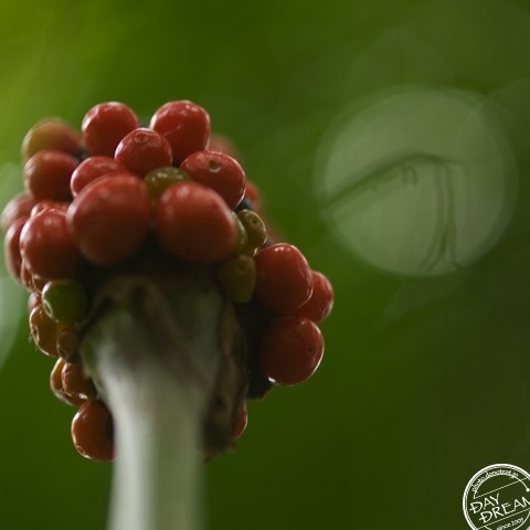 hot and hot. and, it is cool.