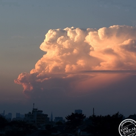 Soda pop of cayenne taste