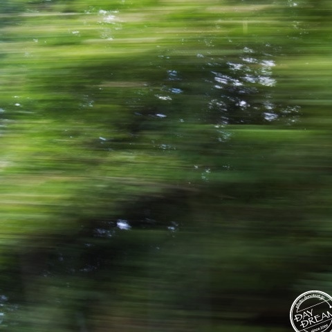 In the summer. in the bus.