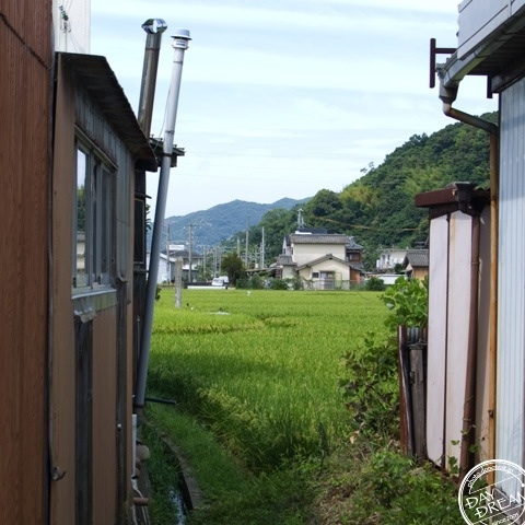 Uncle of sleeveless undershirt style