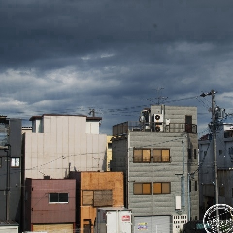 Have a natural fear of thunder