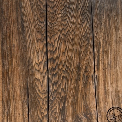 Larger red centipede 