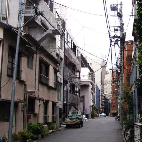 SHIKUMI -show of hand-