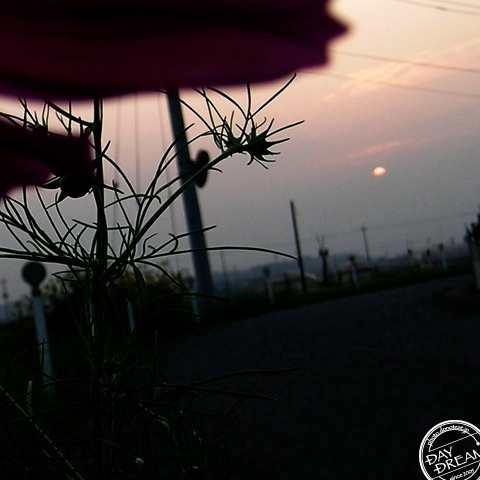 Bus delayed and close of the day