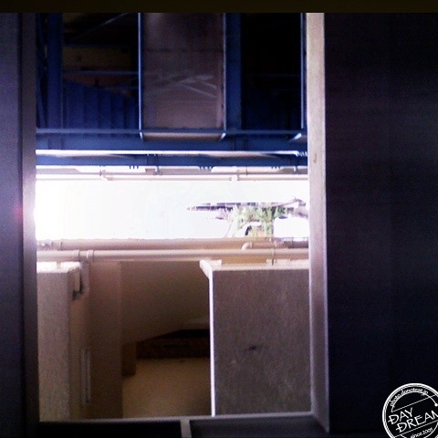 Japanese persimmon fritters