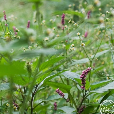 What a waste of time