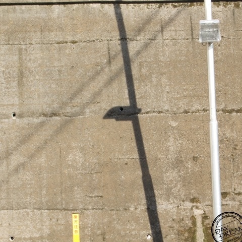 Yawned and stretched